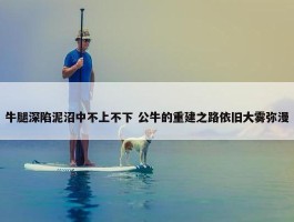 牛腿深陷泥沼中不上不下 公牛的重建之路依旧大雾弥漫