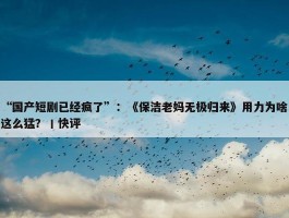 “国产短剧已经疯了”：《保洁老妈无极归来》用力为啥这么猛？丨快评