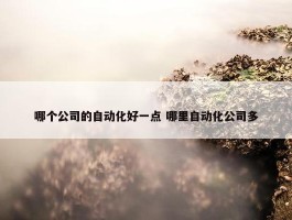 哪个公司的自动化好一点 哪里自动化公司多