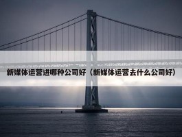 新媒体运营进哪种公司好（新媒体运营去什么公司好）