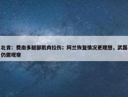 北青：费南多腿部肌肉拉伤；阿兰恢复情况更理想，武磊仍需观察