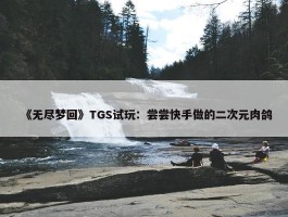 《无尽梦回》TGS试玩：尝尝快手做的二次元肉鸽