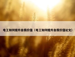 电工如何提升自我价值（电工如何提升自我价值论文）