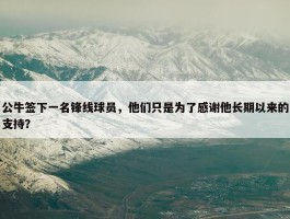 公牛签下一名锋线球员，他们只是为了感谢他长期以来的支持？