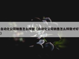 自动化公司销售怎么样做（自动化公司销售怎么样做才好）