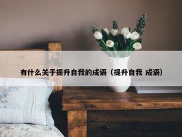 有什么关于提升自我的成语（提升自我 成语）