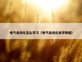 电气自动化怎么学习（电气自动化自学教程）