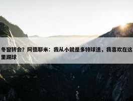 冬窗转会？阿德耶米：我从小就是多特球迷，我喜欢在这里踢球