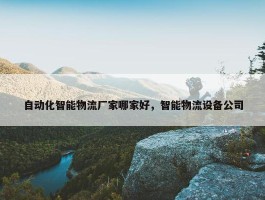 自动化智能物流厂家哪家好，智能物流设备公司