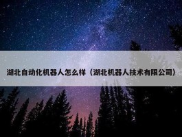 湖北自动化机器人怎么样（湖北机器人技术有限公司）