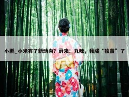 小鹏_小米有了新动向？蔚来：丸辣，我成“独苗”了