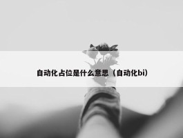 自动化占位是什么意思（自动化bi）