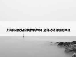 上海自动化粘合机性能如何 全自动粘合机的原理