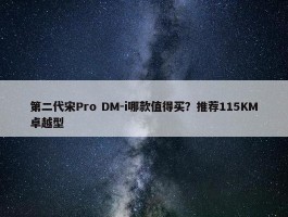 第二代宋Pro DM-i哪款值得买？推荐115KM卓越型