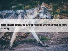 铜陵自动化养猪设备多少钱 铜陵自动化养猪设备多少钱一个月