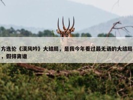 方逸伦《漠风吟》大结局，是我今年看过最无语的大结局，假得离谱