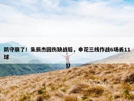 防守崩了！朱辰杰因伤缺战后，申花三线作战6场丢11球