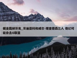 掘金裁掉芬克_贝迪亚科和威尔-理查德森三人 他们可能会去G联盟