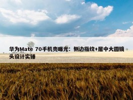 华为Mate 70手机壳曝光：侧边指纹+居中大圆镜头设计实锤