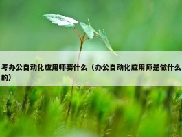 考办公自动化应用师要什么（办公自动化应用师是做什么的）