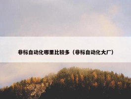 非标自动化哪里比较多（非标自动化大厂）