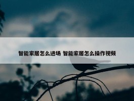 智能家居怎么进场 智能家居怎么操作视频