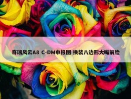 奇瑞风云A8 C-DM申报图 换装八边形大嘴前脸