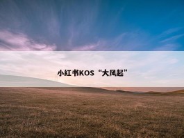 小红书KOS“大风起”