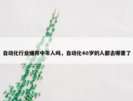 自动化行业嫌弃中年人吗，自动化40岁的人都去哪里了