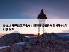 定价17万开战国产电车！曝特斯拉低价车型将于10月11日发布