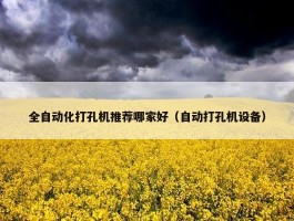 全自动化打孔机推荐哪家好（自动打孔机设备）