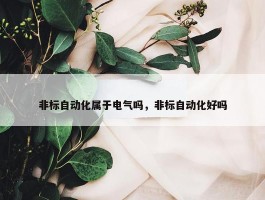 非标自动化属于电气吗，非标自动化好吗