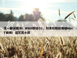 又一解说被冲！WBG败给G2，刘青松粉丝爆破MacT微博！诅咒其小孩