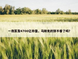 一夜蒸发4700亿市值，马斯克的饼不香了吗？