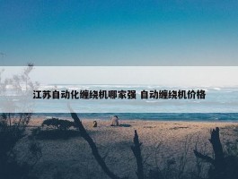 江苏自动化缠绕机哪家强 自动缠绕机价格