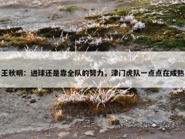 王秋明：进球还是靠全队的努力，津门虎队一点点在成熟