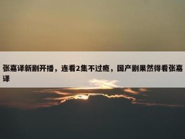 张嘉译新剧开播，连看2集不过瘾，国产剧果然得看张嘉译