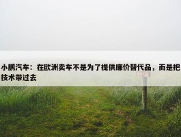 小鹏汽车：在欧洲卖车不是为了提供廉价替代品，而是把技术带过去