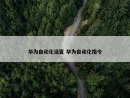 华为自动化设置 华为自动化指令