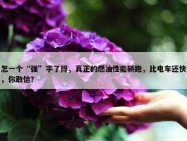 怎一个“强”字了得，真正的燃油性能轿跑，比电车还快，你敢信？