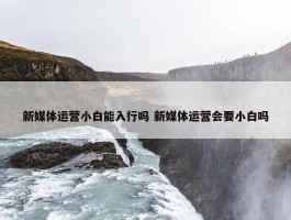 新媒体运营小白能入行吗 新媒体运营会要小白吗