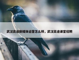 武汉高途新媒体运营怎么样，武汉高途课堂招聘