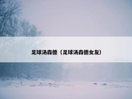 足球汤森德（足球汤森德女友）