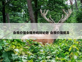 自我价值会提升吗辩论题 自我价值提高