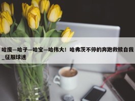 哈废—哈子—哈宝—哈伟大！哈弗茨不停的奔跑救赎自我_征服球迷