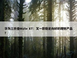 华为三折叠Mate XT：又一款稳定向好的理财产品？