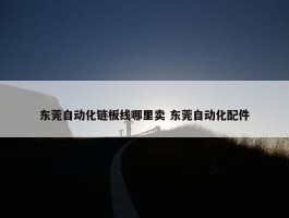 东莞自动化链板线哪里卖 东莞自动化配件