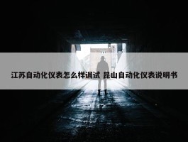 江苏自动化仪表怎么样调试 昆山自动化仪表说明书