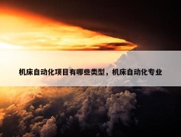 机床自动化项目有哪些类型，机床自动化专业