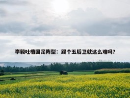 李毅吐槽国足阵型：踢个五后卫就这么难吗？